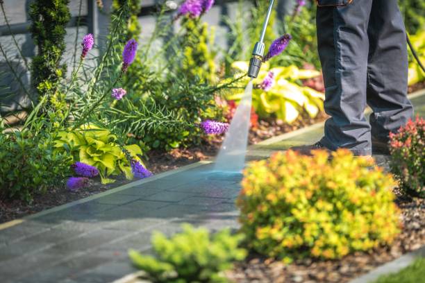 Professional  Pressure Washing Services in Tuscaloosa, AL
