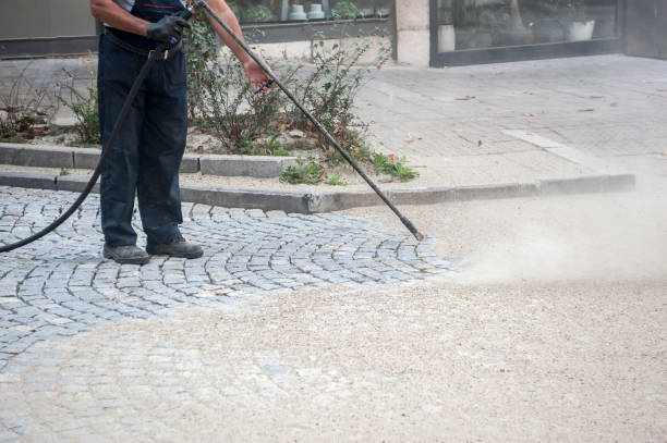 Best Driveway Pressure Washing  in Tuscoosa, AL